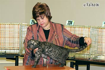 3-200-04-050306.jpg