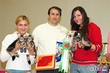 3-549-04-050306.jpg