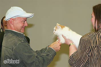 3-586-04-050306.jpg