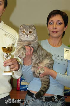 3-602-04-050306.jpg