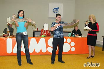 3-607-04-050306.jpg